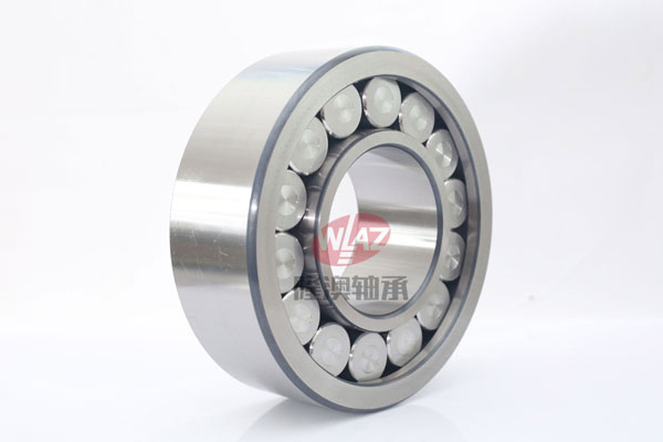 滿裝滾(gǔn)子SL1923系列