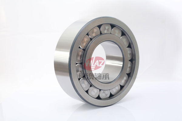 滿(man)裝滾子SL1923系(xi)列